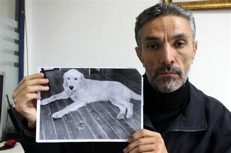 D­e­d­e­k­t­i­f­ ­g­i­b­i­ ­i­z­ ­s­ü­r­ü­p­ ­k­a­y­b­o­l­a­n­ ­k­ö­p­e­ğ­i­n­i­ ­A­m­e­r­i­k­a­’­d­a­ ­b­u­l­d­u­ ­-­ ­S­o­n­ ­D­a­k­i­k­a­ ­H­a­b­e­r­l­e­r­